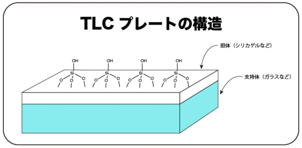 TLCプレートの構造